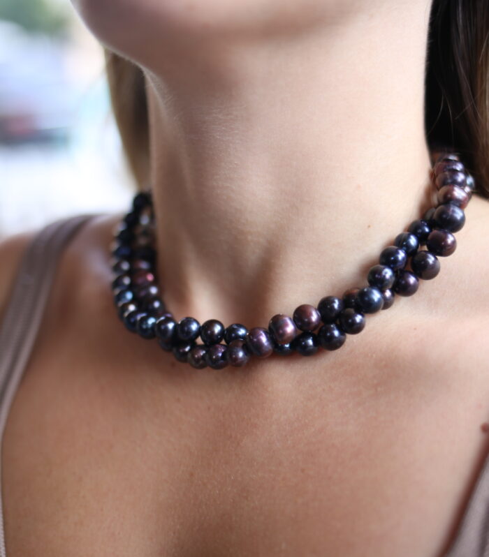 Güney Deniz İncisi